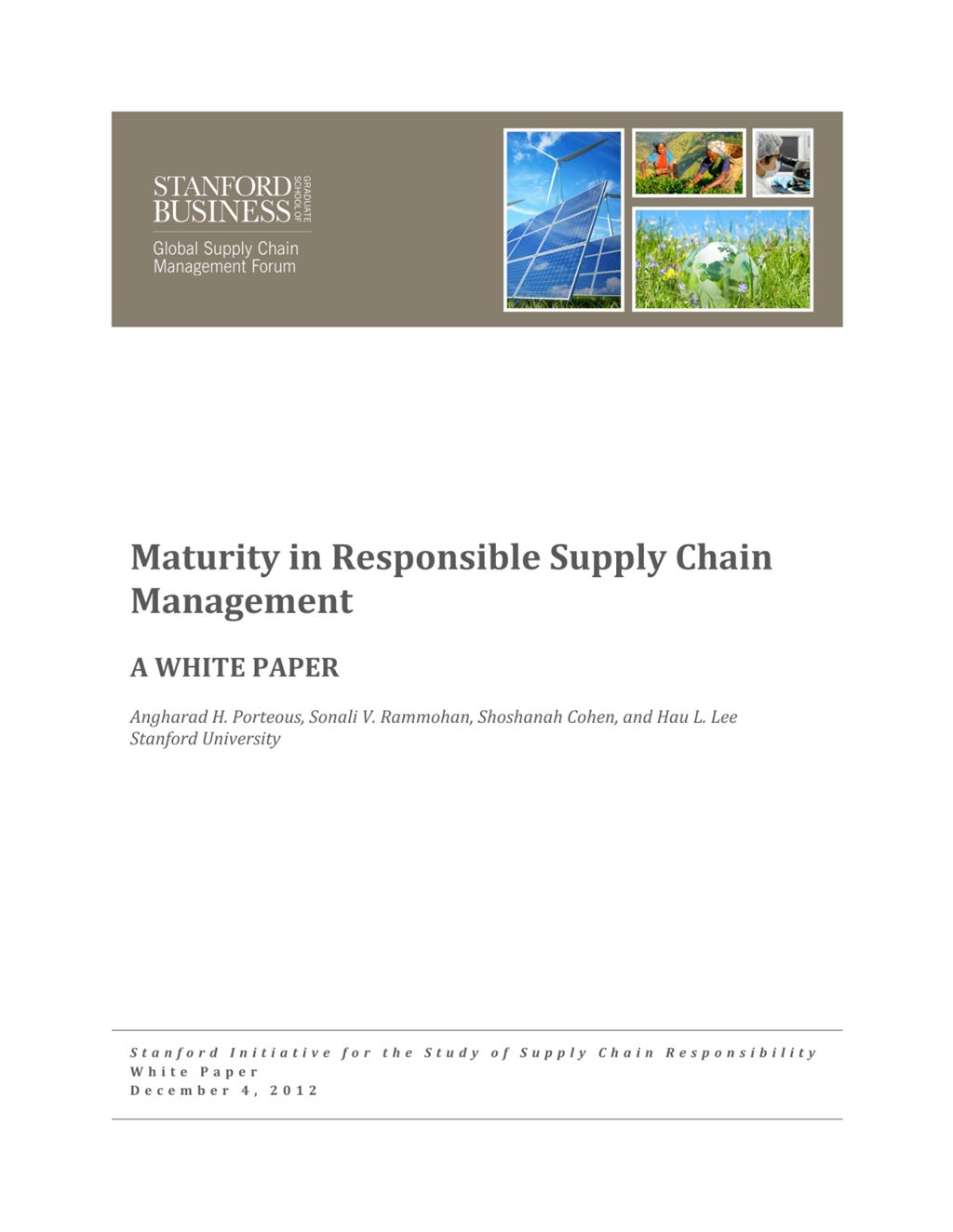 Miniature of Maturity in Responsible Supply Chain Management