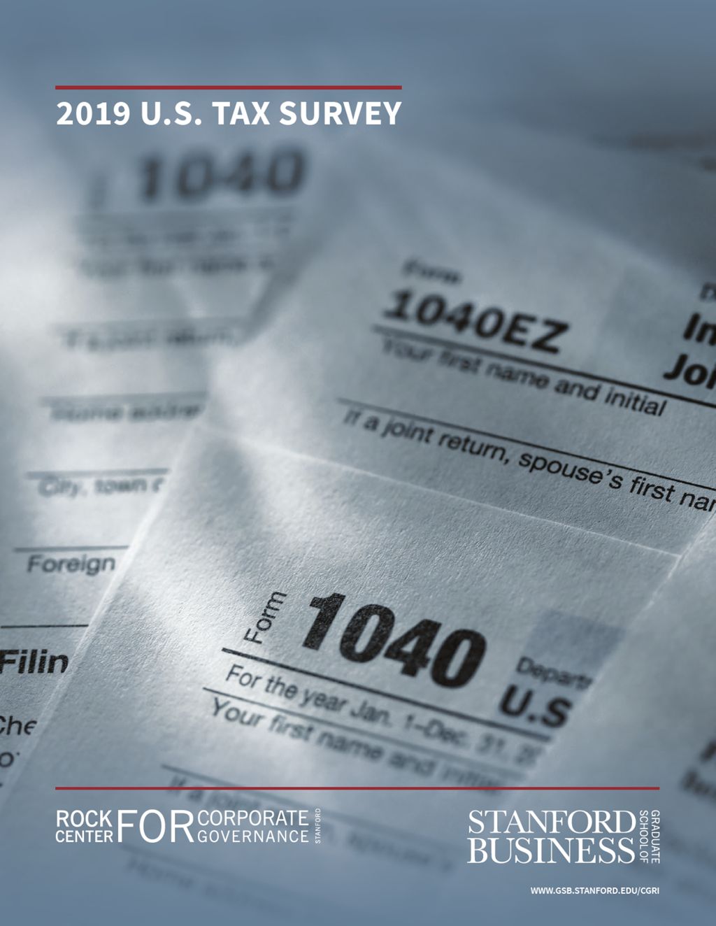 Miniature of 2019 U.S. Tax Survey